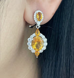 Ruby Drop Earrings